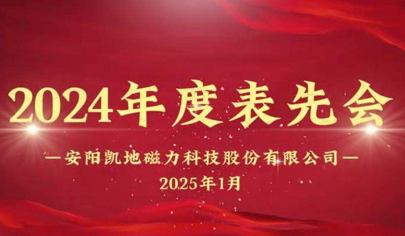 公司召開(kāi)2024年度表先會(huì)，對(duì)37名優(yōu)秀員工進(jìn)行表彰